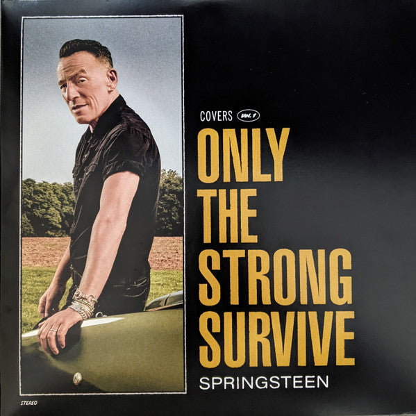 Bruce Springsteen – Only the Strong Survive (2LP/140G/D-side Etching) 🇺🇸