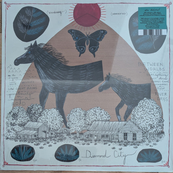 Will Johnson – Diamond City (Wintergreen Vinyl) 🇺🇸