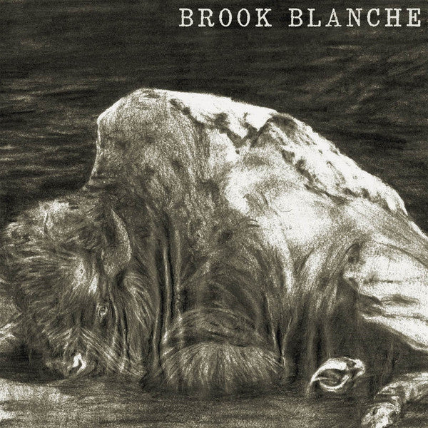 Brook Blanche – Brook Blanche 🇺🇸