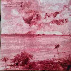 Winter Family – On Beautiful Days [CD Nuevo] 💿 🇺🇸