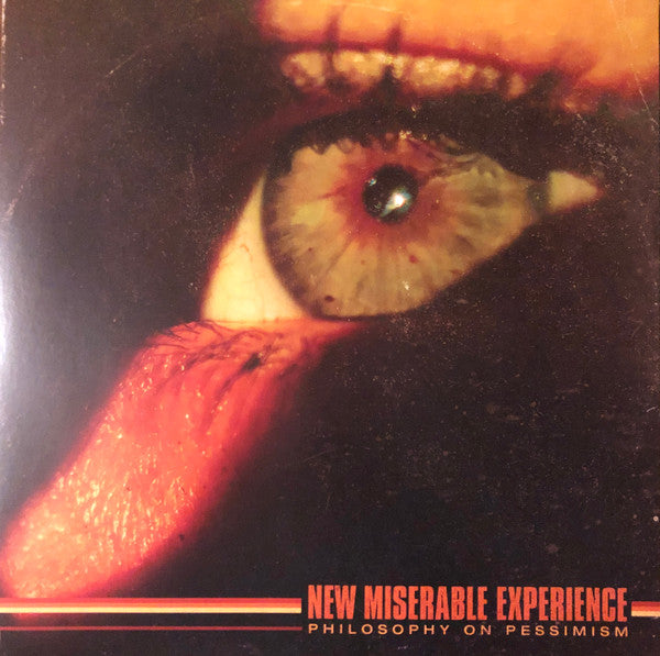 New Miserable Experience – Philosophy on Pessimism 🇺🇸