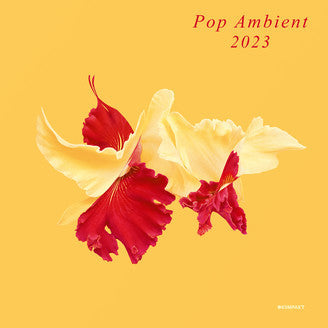 Various Artists – Pop Ambient 2023 🇺🇸