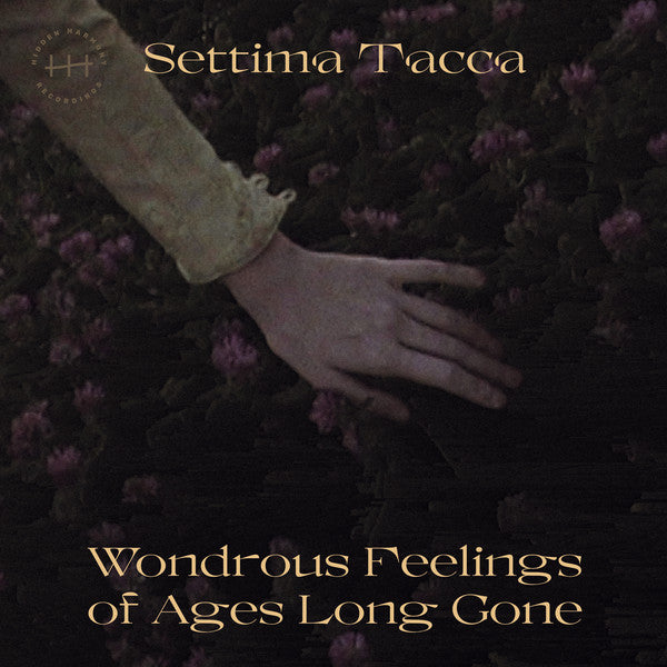 Settima Tacca – Wondrous Feelings of Ages Long Gone 🇺🇸