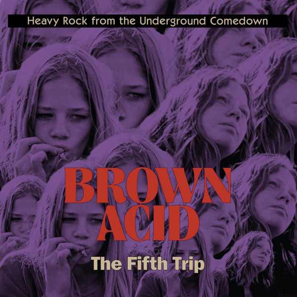 Various Artists – Brown Acid: the Fifth Trip 🇺🇸