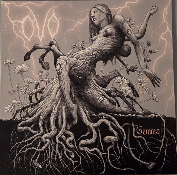 Ovo – Gemma 🇺🇸