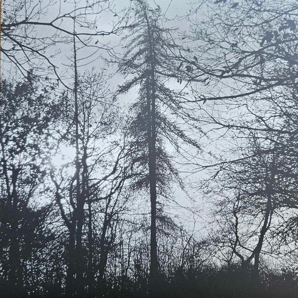 Curse All Kings – Feral Earth 🇺🇸