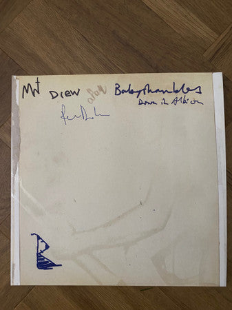 Babyshambles – Down in Albion (20TH Anniversary Edition) (2LP) 🇺🇸