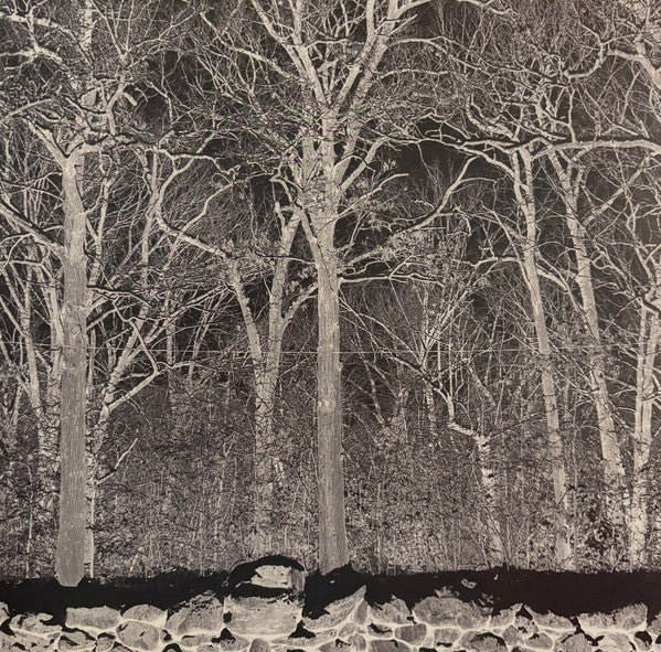 Pile – Sunshine & Balance Beams (Transparent Mix Boris Purple Vinyl) (I) 🇺🇸