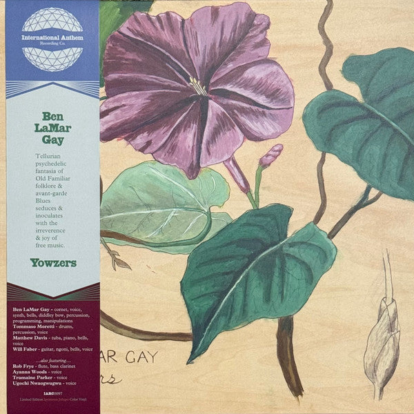 Ben Lamar Gay – Yowzers (Ipomoea Jalapa Marble Pink Vinyl) (I) 🇺🇸