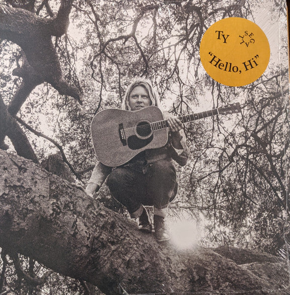 Ty Segall – Hello, Hi 🇺🇸