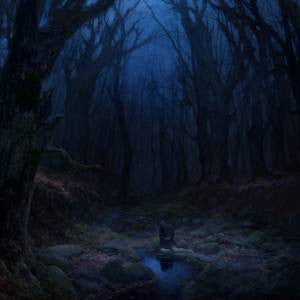 Woods of Desolation – Torn Beyond Reason 🇺🇸
