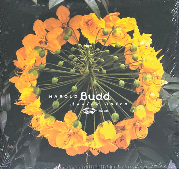 Harold Budd – Avalon Sutra (3LP/Bonus Track/Limited) 🇺🇸