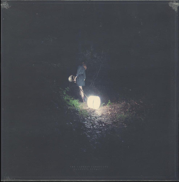 Saddest Landscape – Darkness Forgives 🇺🇸
