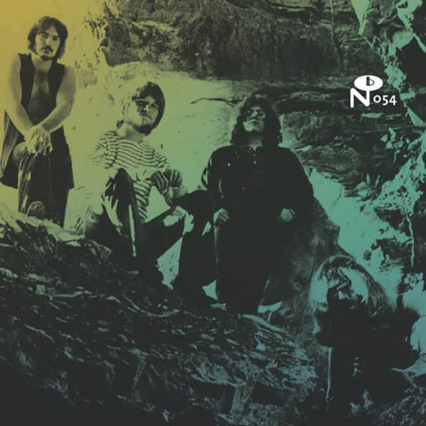 Various Artists – Local Customs: Cavern Sound / Various 🇺🇸