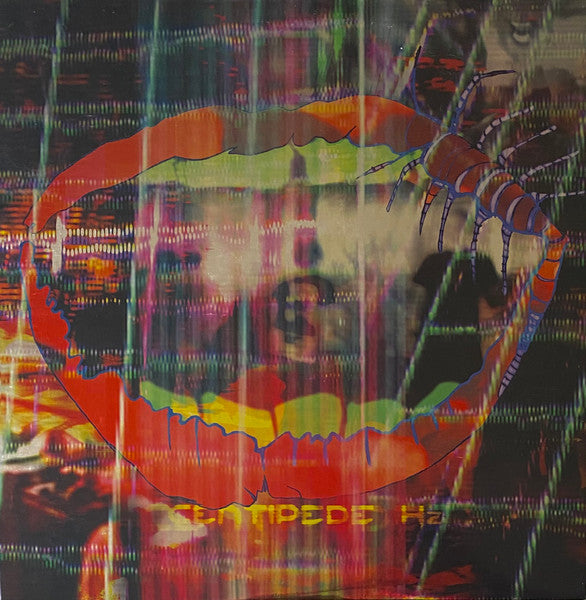 Animal Collective – Centipede Hz (DL Card) 🇺🇸