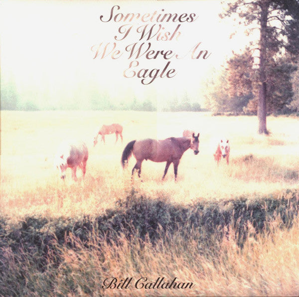 Bill Callahan – Sometimes I Wish We Were An Eagle 🇺🇸