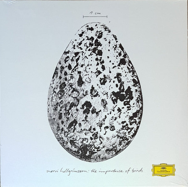 Snorri Hallgrimsson – Importance of Birds (EP) 🇺🇸
