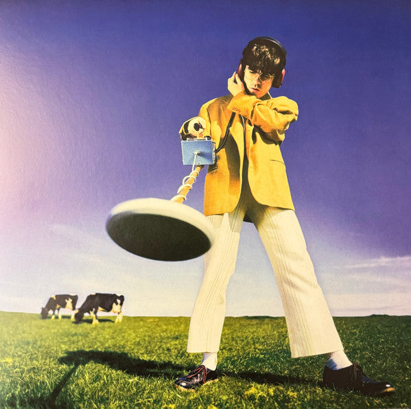 Declan McKenna – What Happened to the Beach? 🇺🇸
