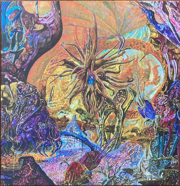 Slimelord – Chytridiomycosis Relinquished (Orange Blue Galaxy Vinyl) 🇺🇸