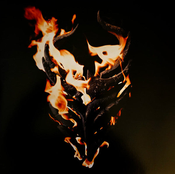 Demon Hunter – There Was a Light Here (Grieving Garden Vinyl) 🇺🇸