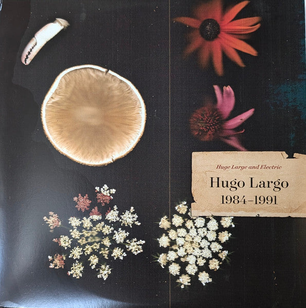 Hugo Largo – Huge, Large & Electric: Hugo Largo 1984-1991 (3LP) 🇺🇸