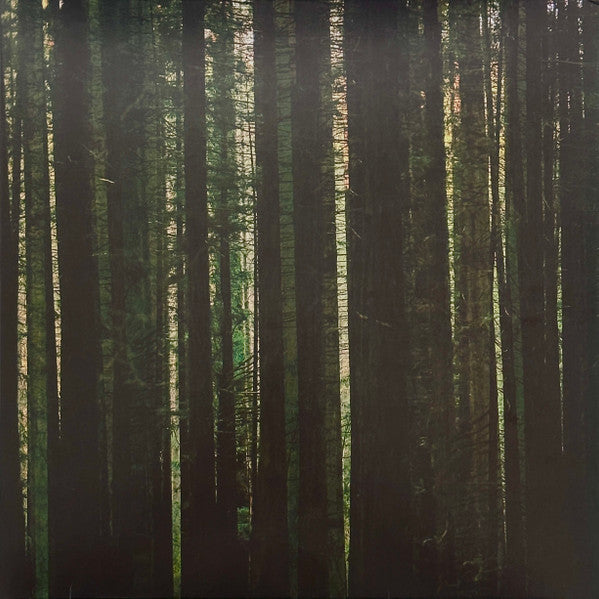 Paper Kites – Evergreen (Green Vinyl) 🇺🇸