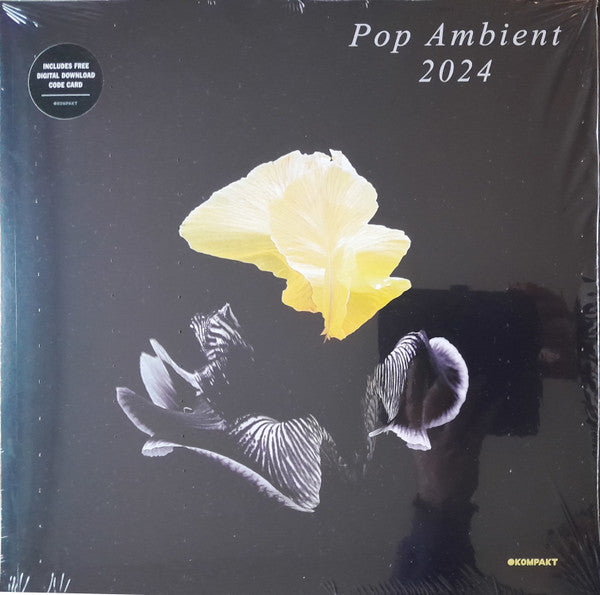Various Artists – Pop Ambient 2024 🇺🇸