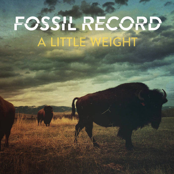Fossil Evolution – Little Weight 🇺🇸