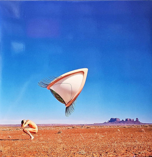 Cranberries – Bury the Hatchet (the Complete Sessions) (2LP) 🇺🇸