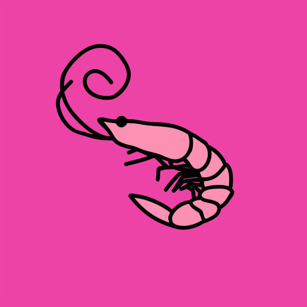 Kero Kero Bonito – Flamingo (Pink Vinyl) 🇺🇸