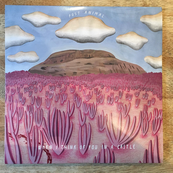Post Animal – When I Think of You in a Castle (180G/Colored Vinyl/DL Card) 🇺🇸