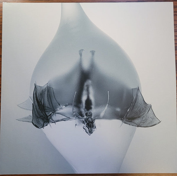 Unprocessed – Angel (Clear Vinyl) 🇺🇸