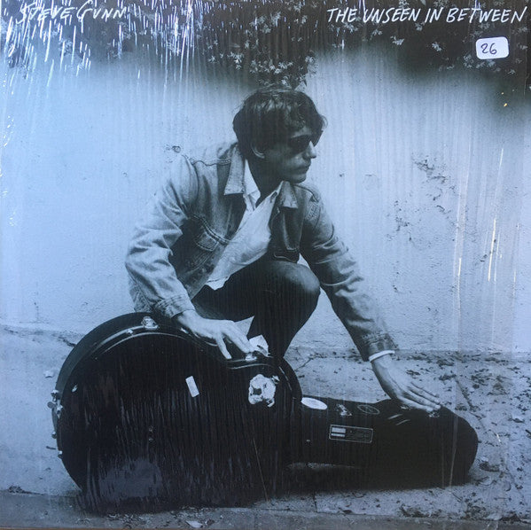 Steve Gunn – Unseen in Between 🇺🇸