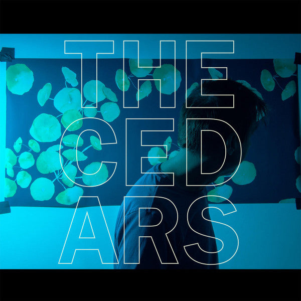 John Vanderslice – Cedars 🇺🇸