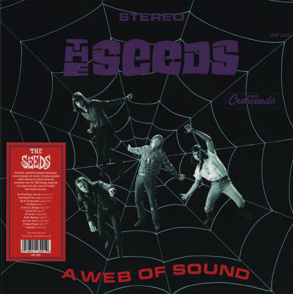 Seeds – Web of Sound 🇺🇸
