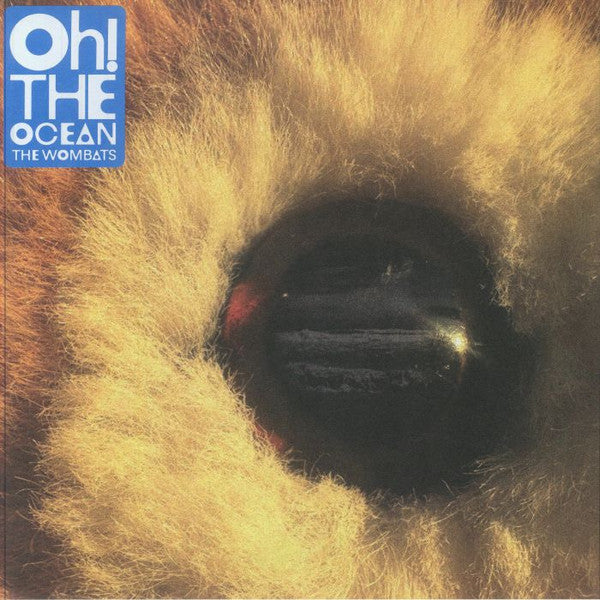 Wombats – Oh! the Ocean (Cloudy Clear Vinyl) (I) 🇺🇸