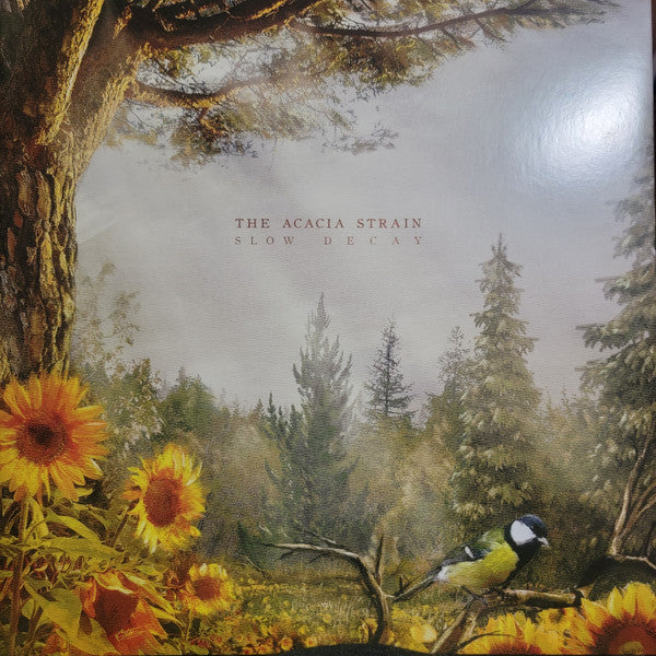 Acacia Strain – Slow Decay (X) (Green/Black Splatter Vinyl) 🇺🇸