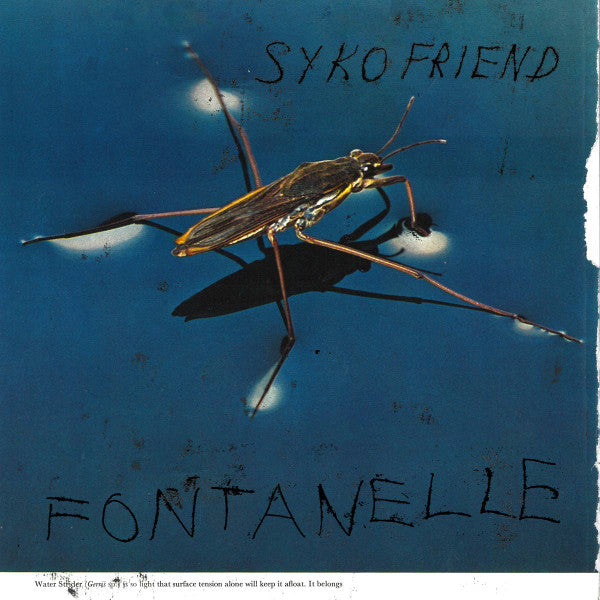 Syko Friend – Fontanelle 🇺🇸