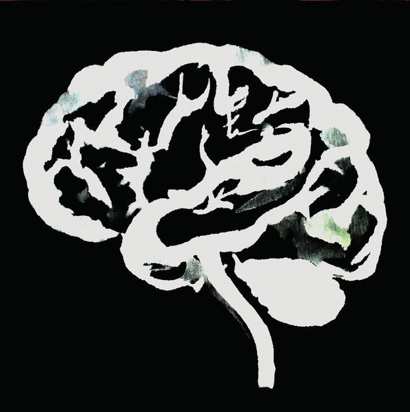 Ruins – Brain Flakes (the Lost Combo Tapes) 🇺🇸