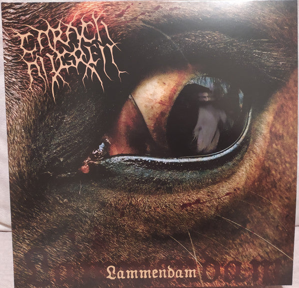 Carach Angren – Lammendam (2LP/Orange & Black Marbled Vinyl) 🇺🇸