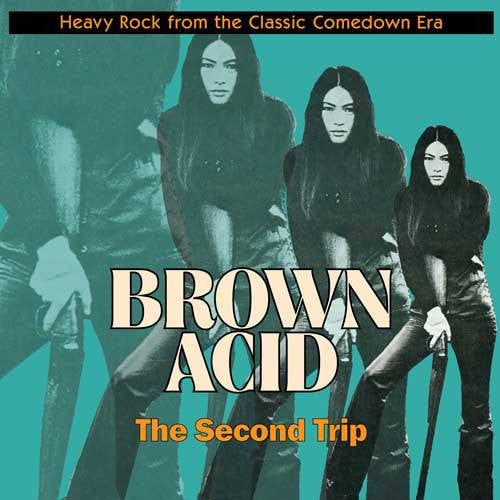 Various Artists – Brown Acid: the Second Trip 🇺🇸