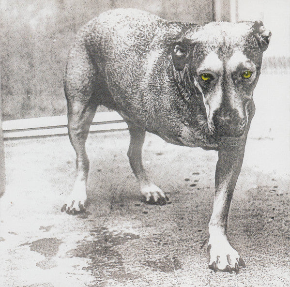 Alice in Chains – Alice in Chains [CD Nuevo] 💿 🇺🇸