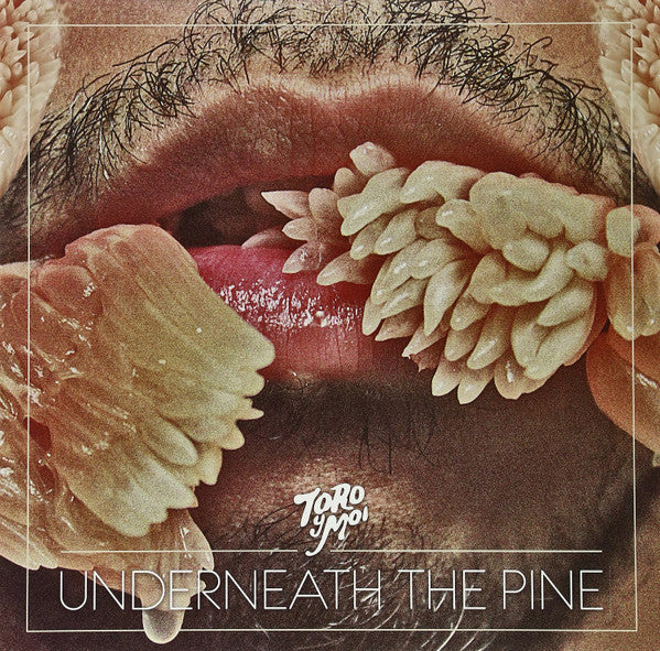 Toro Y Moi – Underneath the Pine 🇺🇸