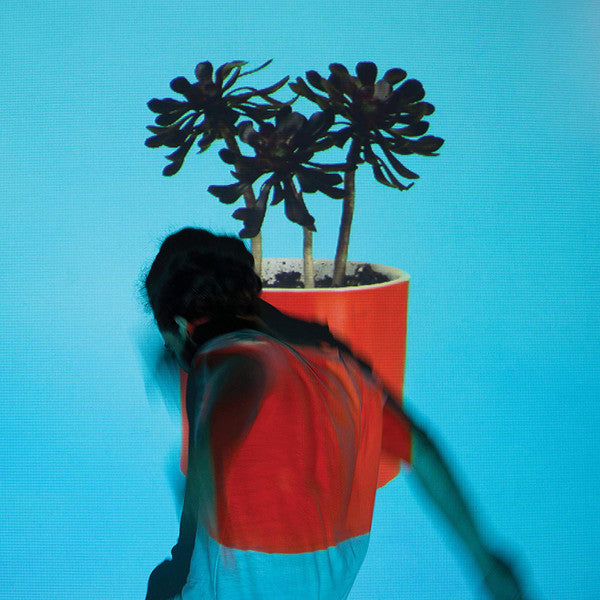 Local Natives – Sunlit Youth (150G/DL Card) 🇺🇸