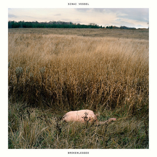 Sinai Vessel – Brokenlegged 🇺🇸