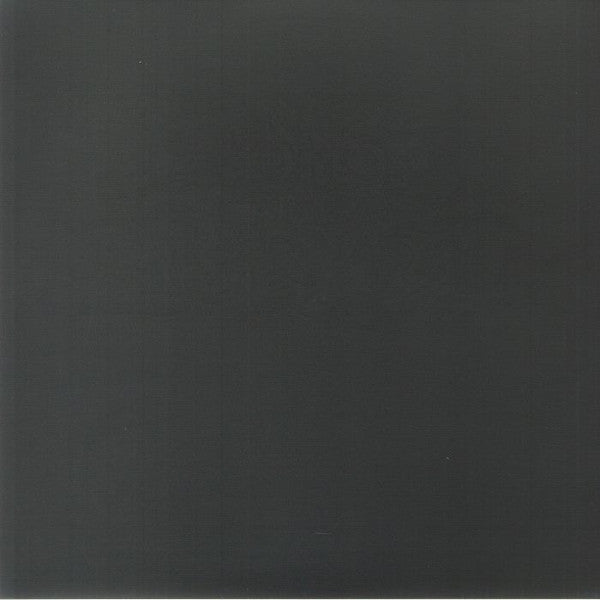 Boris with Merzbow – 4092001 (Silver Vinyl) 🇺🇸