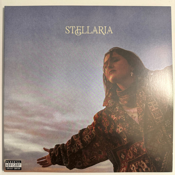 Chelsea Cutler – Stellaria (X) (Fruit Punch Vinyl/2LP) (I) 🇺🇸