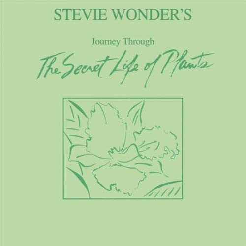 Stevie Wonder – Journey Through the Secret Life of Plants (2LP/180G) 🇺🇸