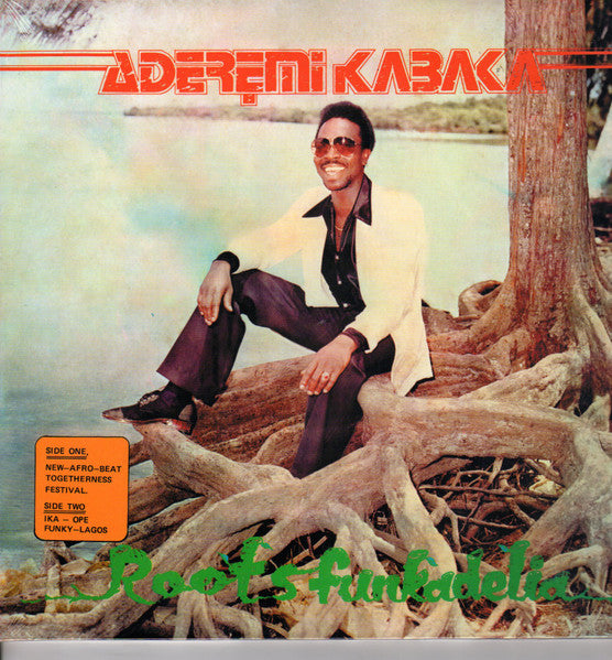 Remi Kabaka – Roots Funkadelia 🇺🇸