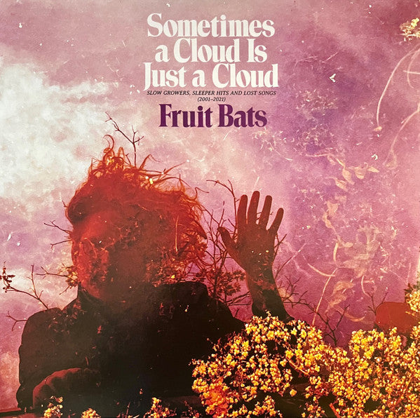 Fruit Bats – Sometimes a Cloud is Just a Cloud: Slow Growers (2LP) 🇺🇸
